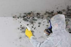 Best Mold Remediation for Vacation Homes  in Squaw Valley, CA